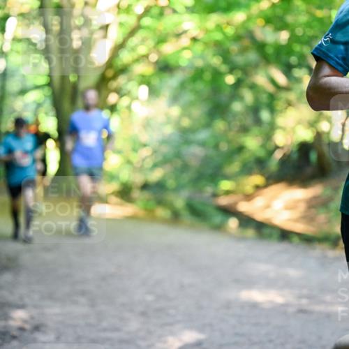 28.09.2025 - 33. Volkslauf durch das schöne Alstertal Dr. Thomas Lammeyer http://msf.ph/oto/8954721 28.09.2025 10:39:33 Laufen 21 meine-sportfotos.de
