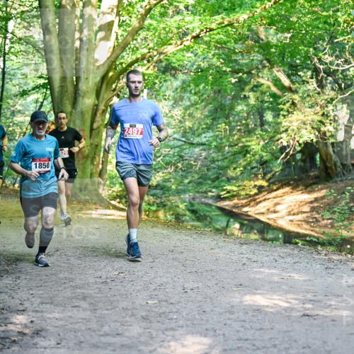 28.09.2025 - 33. Volkslauf durch das schöne Alstertal Dr. Thomas Lammeyer http://msf.ph/oto/8954725 28.09.2025 10:39:34 Laufen 2621, 1850, 529, 2497 meine-sportfotos.de