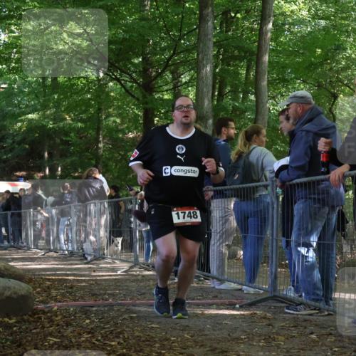 28.09.2025 - 33. Volkslauf durch das schöne Alstertal Strokosch-Dieckow http://msf.ph/oto/8954735 28.09.2025 12:43:31 Ziel 1748 meine-sportfotos.de
