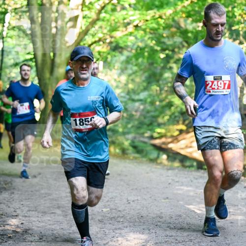 28.09.2025 - 33. Volkslauf durch das schöne Alstertal Dr. Thomas Lammeyer http://msf.ph/oto/8954738 28.09.2025 10:39:36 Laufen 32, 2497, 1856 meine-sportfotos.de