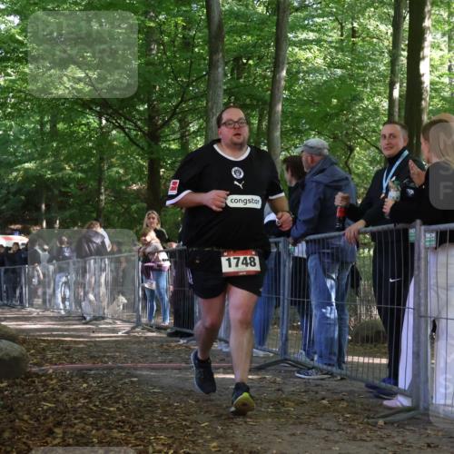 28.09.2025 - 33. Volkslauf durch das schöne Alstertal Strokosch-Dieckow http://msf.ph/oto/8954742 28.09.2025 12:43:32 Ziel 1748 meine-sportfotos.de