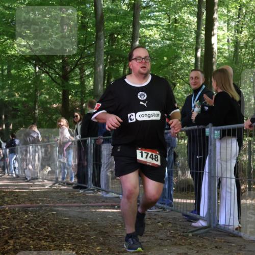 28.09.2025 - 33. Volkslauf durch das schöne Alstertal Strokosch-Dieckow http://msf.ph/oto/8954750 28.09.2025 12:43:33 Ziel  meine-sportfotos.de