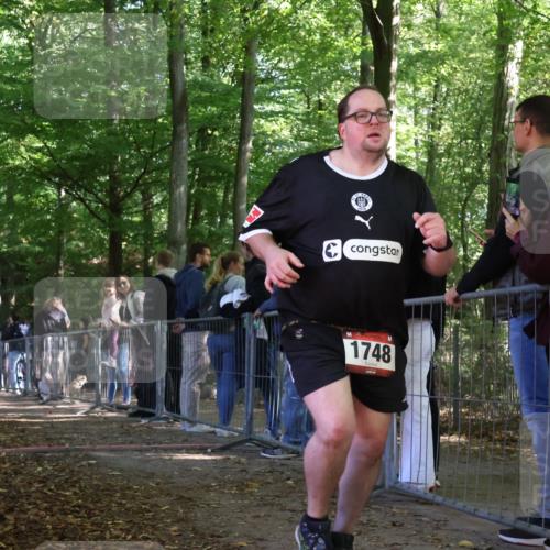 28.09.2025 - 33. Volkslauf durch das schöne Alstertal Strokosch-Dieckow http://msf.ph/oto/8954756 28.09.2025 12:43:33 Ziel  meine-sportfotos.de