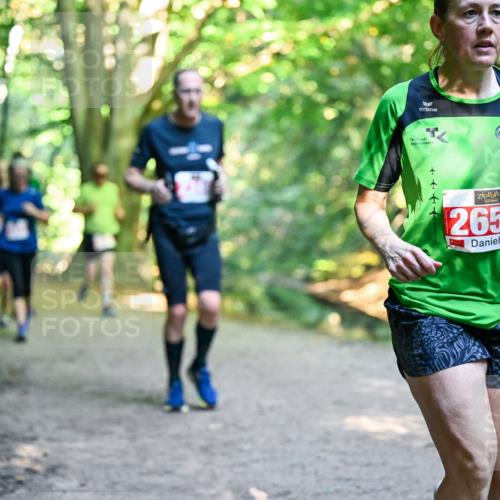 28.09.2025 - 33. Volkslauf durch das schöne Alstertal Dr. Thomas Lammeyer http://msf.ph/oto/8954765 28.09.2025 10:39:40 Laufen 2653 meine-sportfotos.de