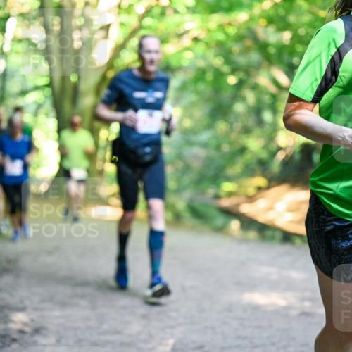 28.09.2025 - 33. Volkslauf durch das schöne Alstertal Dr. Thomas Lammeyer http://msf.ph/oto/8954767 28.09.2025 10:39:40 Laufen 2653 meine-sportfotos.de