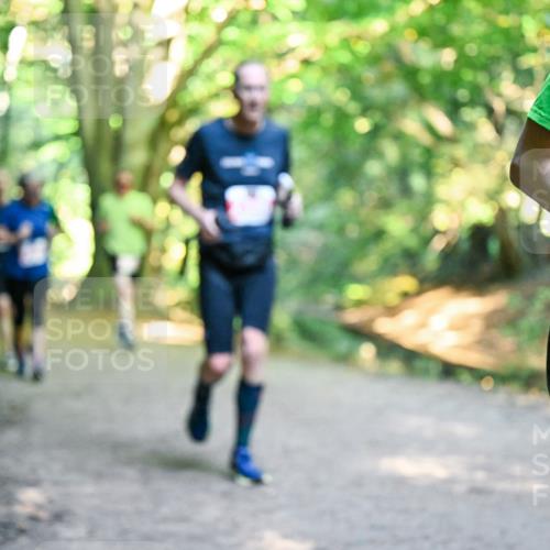28.09.2025 - 33. Volkslauf durch das schöne Alstertal Dr. Thomas Lammeyer http://msf.ph/oto/8954768 28.09.2025 10:39:40 Laufen  meine-sportfotos.de