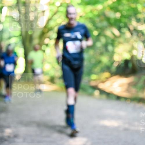 28.09.2025 - 33. Volkslauf durch das schöne Alstertal Dr. Thomas Lammeyer http://msf.ph/oto/8954769 28.09.2025 10:39:40 Laufen  meine-sportfotos.de