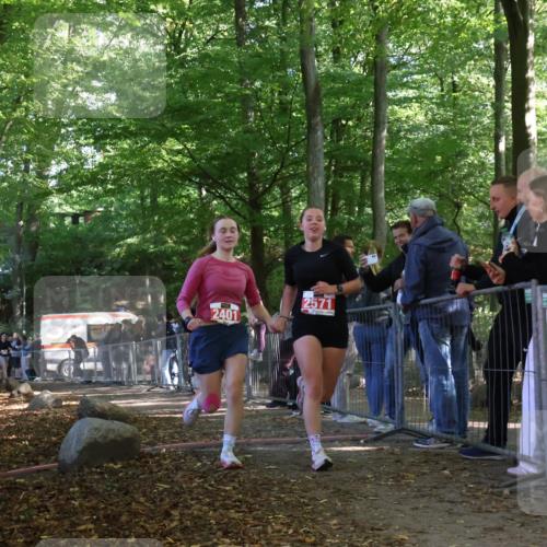 28.09.2025 - 33. Volkslauf durch das schöne Alstertal Strokosch-Dieckow http://msf.ph/oto/8954775 28.09.2025 12:43:48 Ziel 2401, 2571 meine-sportfotos.de