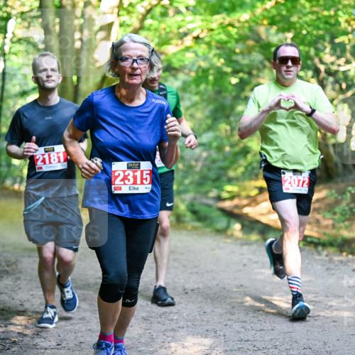 28.09.2025 - 33. Volkslauf durch das schöne Alstertal Dr. Thomas Lammeyer http://msf.ph/oto/8954786 28.09.2025 10:39:43 Laufen 2181, 2315, 2072 meine-sportfotos.de