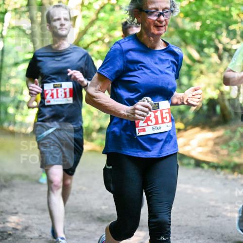 28.09.2025 - 33. Volkslauf durch das schöne Alstertal Dr. Thomas Lammeyer http://msf.ph/oto/8954788 28.09.2025 10:39:44 Laufen 2181, 2315, 2072 meine-sportfotos.de