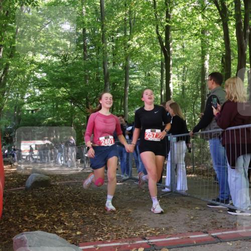 28.09.2025 - 33. Volkslauf durch das schöne Alstertal Strokosch-Dieckow http://msf.ph/oto/8954791 28.09.2025 12:43:49 Ziel 2401, 2437, 2571 meine-sportfotos.de
