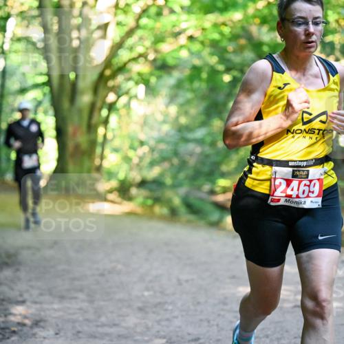 28.09.2025 - 33. Volkslauf durch das schöne Alstertal Dr. Thomas Lammeyer http://msf.ph/oto/8954802 28.09.2025 10:39:46 Laufen 12469 meine-sportfotos.de