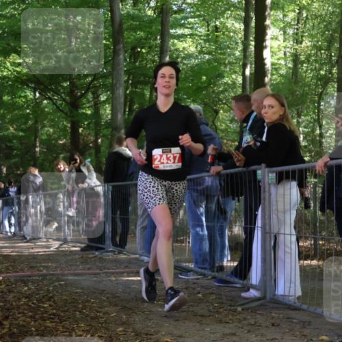 28.09.2025 - 33. Volkslauf durch das schöne Alstertal Strokosch-Dieckow http://msf.ph/oto/8954807 28.09.2025 12:43:59 Ziel 2437 meine-sportfotos.de