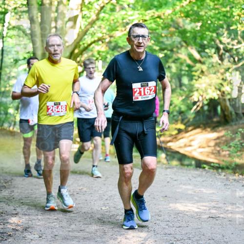 28.09.2025 - 33. Volkslauf durch das schöne Alstertal Dr. Thomas Lammeyer http://msf.ph/oto/8954839 28.09.2025 10:39:56 Laufen 2648, 2162 meine-sportfotos.de