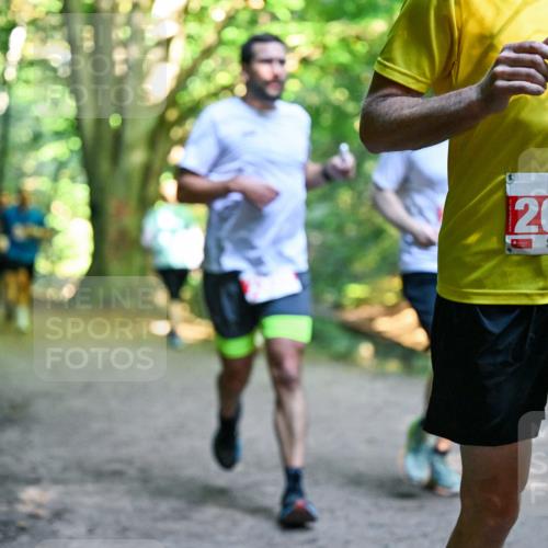 28.09.2025 - 33. Volkslauf durch das schöne Alstertal Dr. Thomas Lammeyer http://msf.ph/oto/8954850 28.09.2025 10:39:58 Laufen 2648 meine-sportfotos.de