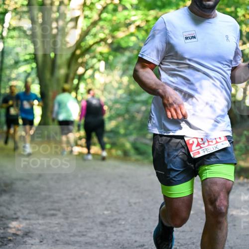 28.09.2025 - 33. Volkslauf durch das schöne Alstertal Dr. Thomas Lammeyer http://msf.ph/oto/8954856 28.09.2025 10:39:58 Laufen 2990 meine-sportfotos.de