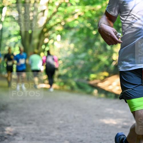28.09.2025 - 33. Volkslauf durch das schöne Alstertal Dr. Thomas Lammeyer http://msf.ph/oto/8954859 28.09.2025 10:39:59 Laufen 2998 meine-sportfotos.de