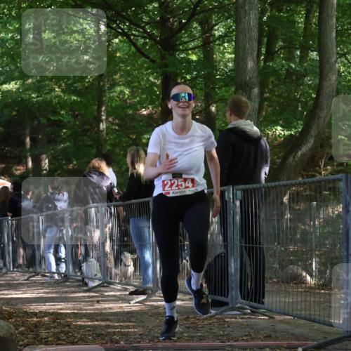 28.09.2025 - 33. Volkslauf durch das schöne Alstertal Strokosch-Dieckow http://msf.ph/oto/8954860 28.09.2025 12:44:27 Ziel 2254 meine-sportfotos.de