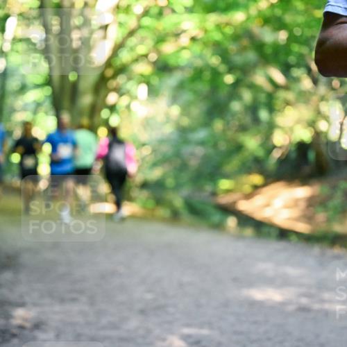 28.09.2025 - 33. Volkslauf durch das schöne Alstertal Dr. Thomas Lammeyer http://msf.ph/oto/8954861 28.09.2025 10:39:59 Laufen  meine-sportfotos.de