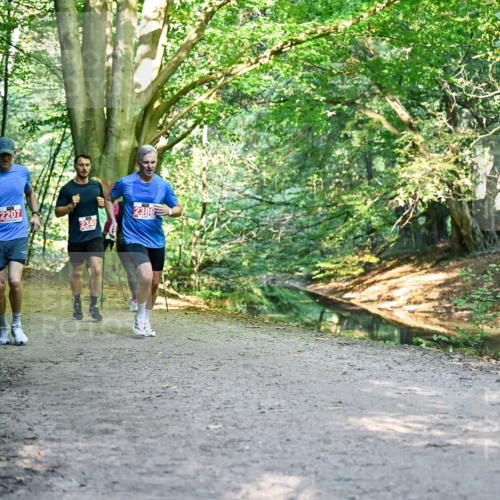 28.09.2025 - 33. Volkslauf durch das schöne Alstertal Dr. Thomas Lammeyer http://msf.ph/oto/8954863 28.09.2025 10:40:00 Laufen 2207, 2386, 2340 meine-sportfotos.de