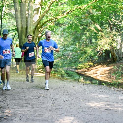 28.09.2025 - 33. Volkslauf durch das schöne Alstertal Dr. Thomas Lammeyer http://msf.ph/oto/8954870 28.09.2025 10:40:01 Laufen 2207, 2386 meine-sportfotos.de