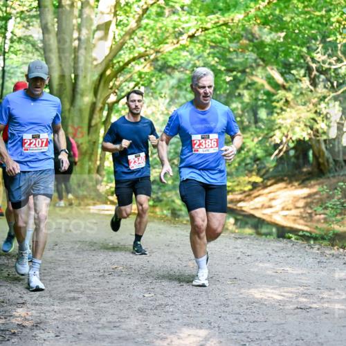 28.09.2025 - 33. Volkslauf durch das schöne Alstertal Dr. Thomas Lammeyer http://msf.ph/oto/8954877 28.09.2025 10:40:02 Laufen 2207, 2340, 2386 meine-sportfotos.de