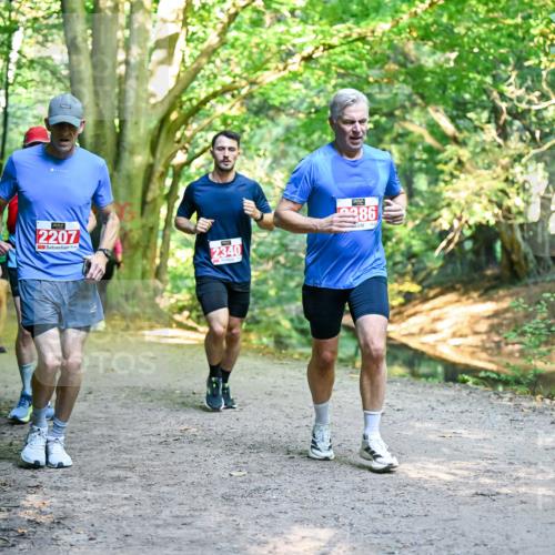 28.09.2025 - 33. Volkslauf durch das schöne Alstertal Dr. Thomas Lammeyer http://msf.ph/oto/8954878 28.09.2025 10:40:02 Laufen 2207, 2340, 386 meine-sportfotos.de