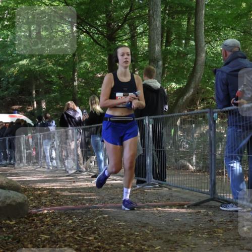28.09.2025 - 33. Volkslauf durch das schöne Alstertal Strokosch-Dieckow http://msf.ph/oto/8954879 28.09.2025 12:44:42 Ziel 1777, 2303 meine-sportfotos.de