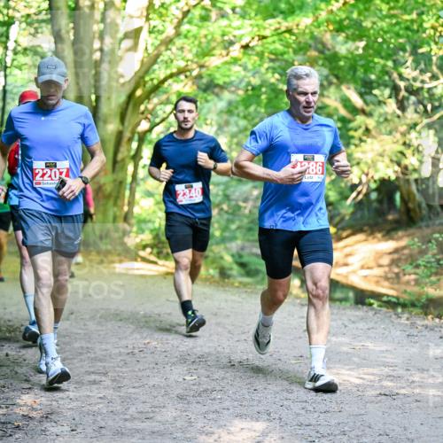 28.09.2025 - 33. Volkslauf durch das schöne Alstertal Dr. Thomas Lammeyer http://msf.ph/oto/8954880 28.09.2025 10:40:02 Laufen 2207, 2340, 286 meine-sportfotos.de