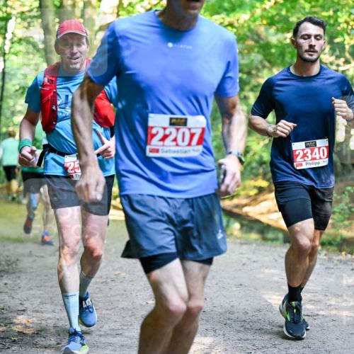 28.09.2025 - 33. Volkslauf durch das schöne Alstertal Dr. Thomas Lammeyer http://msf.ph/oto/8954891 28.09.2025 10:40:03 Laufen 25, 44, 2207, 2340 meine-sportfotos.de