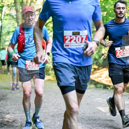 28.09.2025 - 33. Volkslauf durch das schöne Alstertal Dr. Thomas Lammeyer http://msf.ph/oto/8954892 28.09.2025 10:40:04 Laufen 2563, 2207, 2340 meine-sportfotos.de