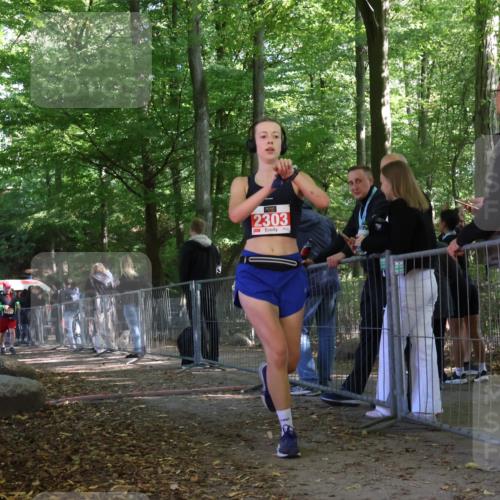 28.09.2025 - 33. Volkslauf durch das schöne Alstertal Strokosch-Dieckow http://msf.ph/oto/8954899 28.09.2025 12:44:43 Ziel 1777, 2303 meine-sportfotos.de