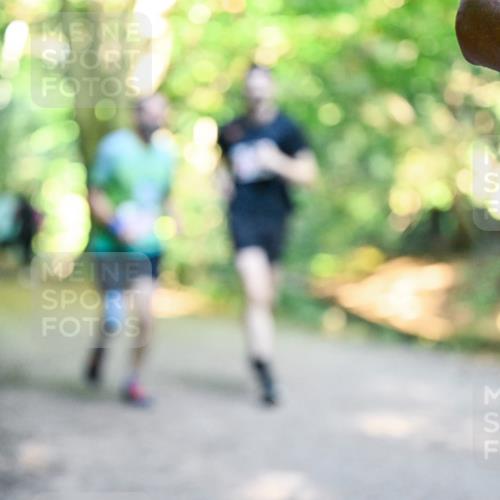 28.09.2025 - 33. Volkslauf durch das schöne Alstertal Dr. Thomas Lammeyer http://msf.ph/oto/8954902 28.09.2025 10:40:05 Laufen  meine-sportfotos.de