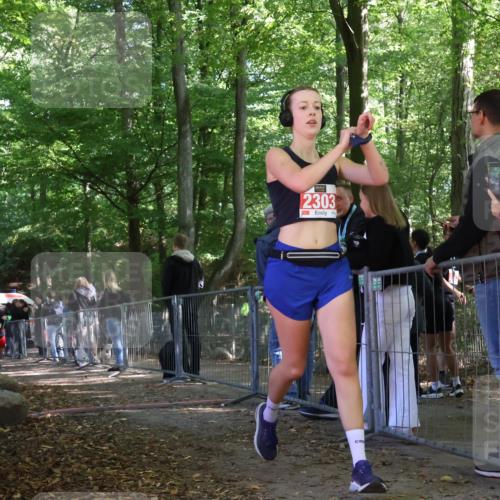 28.09.2025 - 33. Volkslauf durch das schöne Alstertal Strokosch-Dieckow http://msf.ph/oto/8954905 28.09.2025 12:44:44 Ziel 1777, 2303 meine-sportfotos.de