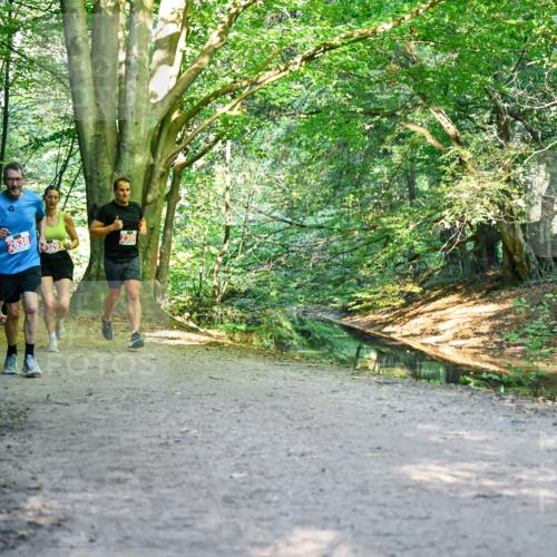 28.09.2025 - 33. Volkslauf durch das schöne Alstertal Dr. Thomas Lammeyer http://msf.ph/oto/8954911 28.09.2025 10:40:09 Laufen 2516, 2590, 2638, 29, 2300 meine-sportfotos.de
