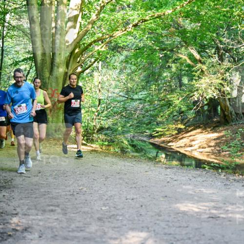 28.09.2025 - 33. Volkslauf durch das schöne Alstertal Dr. Thomas Lammeyer http://msf.ph/oto/8954917 28.09.2025 10:40:10 Laufen 2516, 2638, 29, 2300, 2590 meine-sportfotos.de