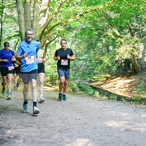 28.09.2025 - 33. Volkslauf durch das schöne Alstertal Dr. Thomas Lammeyer http://msf.ph/oto/8954926 28.09.2025 10:40:11 Laufen 259, 2638, 2300 meine-sportfotos.de