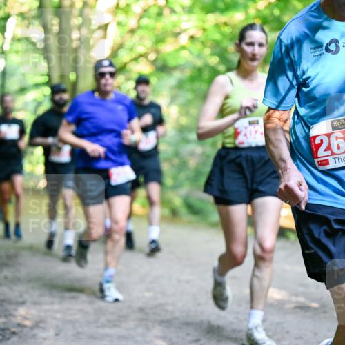 28.09.2025 - 33. Volkslauf durch das schöne Alstertal Dr. Thomas Lammeyer http://msf.ph/oto/8954941 28.09.2025 10:40:13 Laufen 2638 meine-sportfotos.de