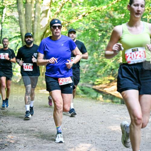 28.09.2025 - 33. Volkslauf durch das schöne Alstertal Dr. Thomas Lammeyer http://msf.ph/oto/8954943 28.09.2025 10:40:13 Laufen 2174, 2590, 2029 meine-sportfotos.de