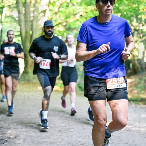 28.09.2025 - 33. Volkslauf durch das schöne Alstertal Dr. Thomas Lammeyer http://msf.ph/oto/8954946 28.09.2025 10:40:14 Laufen 4174, 2590 meine-sportfotos.de