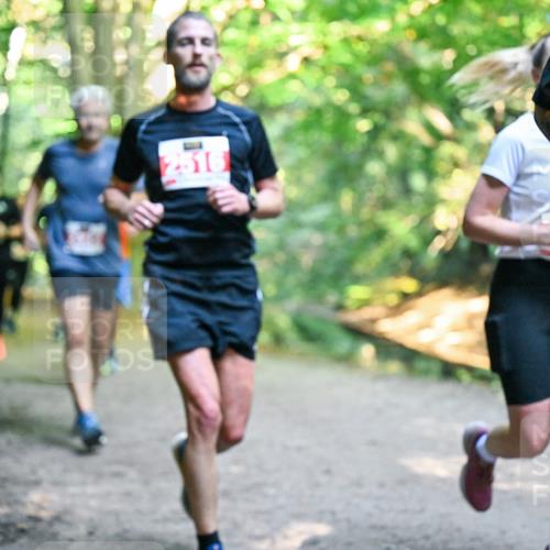 28.09.2025 - 33. Volkslauf durch das schöne Alstertal Dr. Thomas Lammeyer http://msf.ph/oto/8954954 28.09.2025 10:40:16 Laufen 2516 meine-sportfotos.de