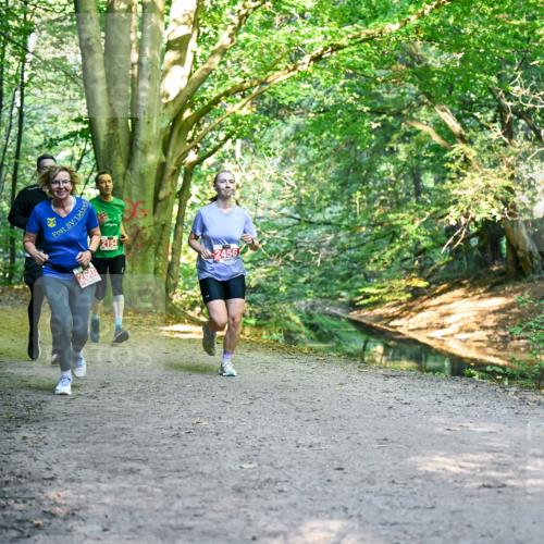 28.09.2025 - 33. Volkslauf durch das schöne Alstertal Dr. Thomas Lammeyer http://msf.ph/oto/8955002 28.09.2025 10:40:25 Laufen 2602, 2154, 2456 meine-sportfotos.de
