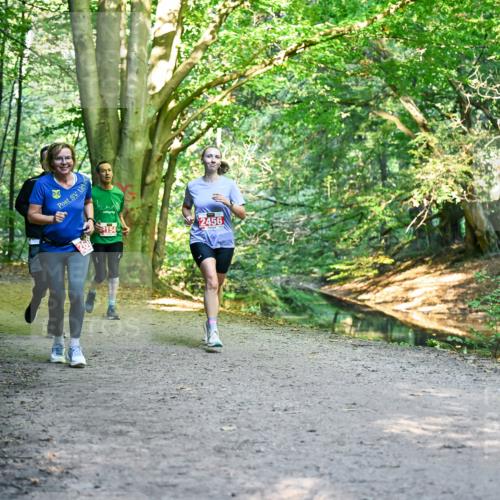 28.09.2025 - 33. Volkslauf durch das schöne Alstertal Dr. Thomas Lammeyer http://msf.ph/oto/8955003 28.09.2025 10:40:26 Laufen 2456 meine-sportfotos.de