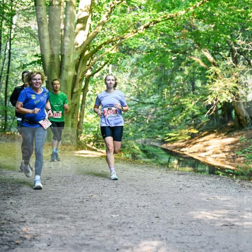 28.09.2025 - 33. Volkslauf durch das schöne Alstertal Dr. Thomas Lammeyer http://msf.ph/oto/8955004 28.09.2025 10:40:26 Laufen 2154, 2456 meine-sportfotos.de