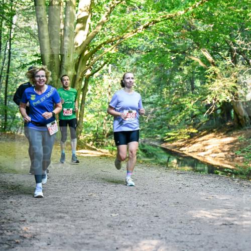 28.09.2025 - 33. Volkslauf durch das schöne Alstertal Dr. Thomas Lammeyer http://msf.ph/oto/8955008 28.09.2025 10:40:26 Laufen 260, 2154, 456 meine-sportfotos.de