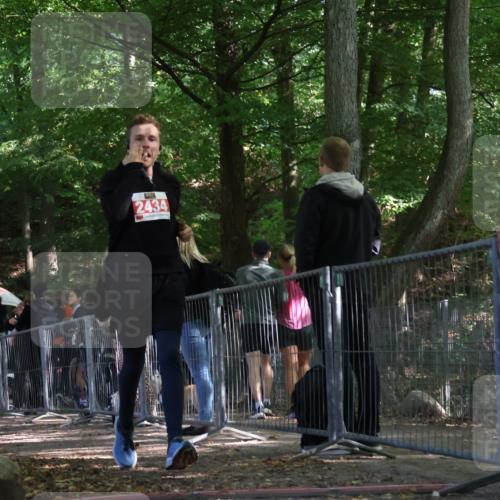 28.09.2025 - 33. Volkslauf durch das schöne Alstertal Strokosch-Dieckow http://msf.ph/oto/8955049 28.09.2025 12:45:34 Ziel 2434 meine-sportfotos.de