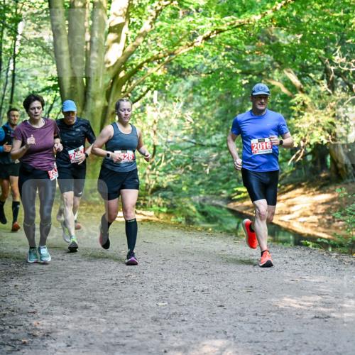 28.09.2025 - 33. Volkslauf durch das schöne Alstertal Dr. Thomas Lammeyer http://msf.ph/oto/8955062 28.09.2025 10:40:37 Laufen 526, 2016 meine-sportfotos.de