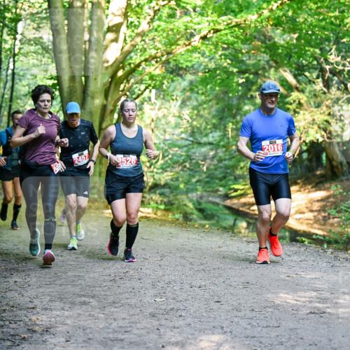 28.09.2025 - 33. Volkslauf durch das schöne Alstertal Dr. Thomas Lammeyer http://msf.ph/oto/8955064 28.09.2025 10:40:37 Laufen 2457, 2526, 2016 meine-sportfotos.de
