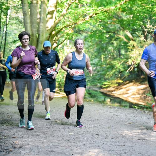 28.09.2025 - 33. Volkslauf durch das schöne Alstertal Dr. Thomas Lammeyer http://msf.ph/oto/8955068 28.09.2025 10:40:38 Laufen 2457, 526, 2016 meine-sportfotos.de