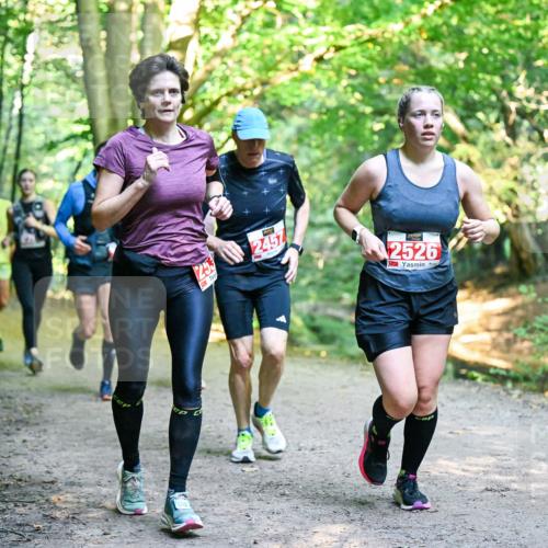 28.09.2025 - 33. Volkslauf durch das schöne Alstertal Dr. Thomas Lammeyer http://msf.ph/oto/8955075 28.09.2025 10:40:39 Laufen 253, 2457, 2526 meine-sportfotos.de